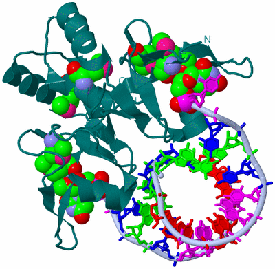 Image Biological Unit 1