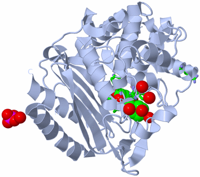 Image Biol. Unit 1 - sites