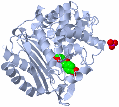 Image Biological Unit 1