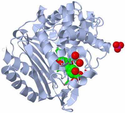 Image Biol. Unit 1 - sites