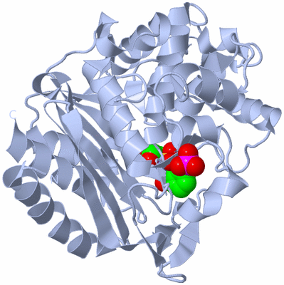 Image Biological Unit 1