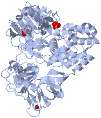 Image Biological Unit 1