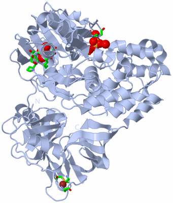 Image Biol. Unit 1 - sites