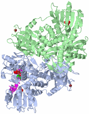 Image Asym./Biol. Unit