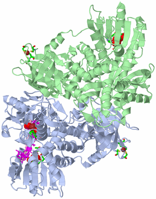 Image Asym./Biol. Unit - sites