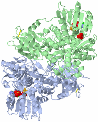 Image Asym./Biol. Unit