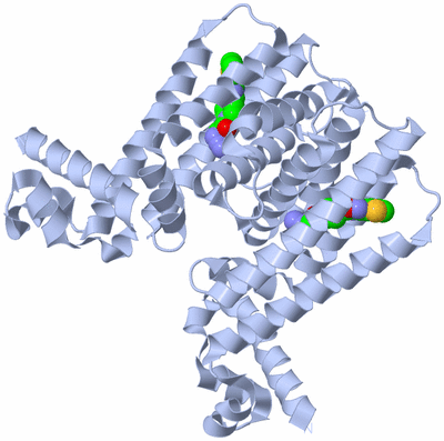 Image Biological Unit 1