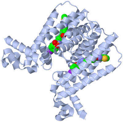 Image Biological Unit 1