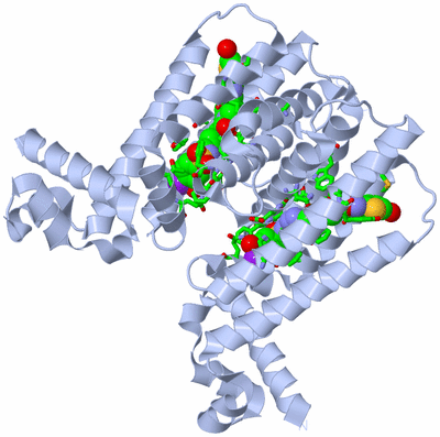 Image Biol. Unit 1 - sites