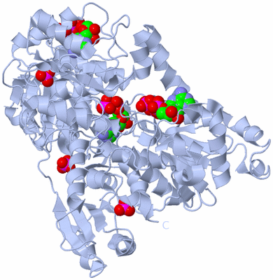 Image Biological Unit 1