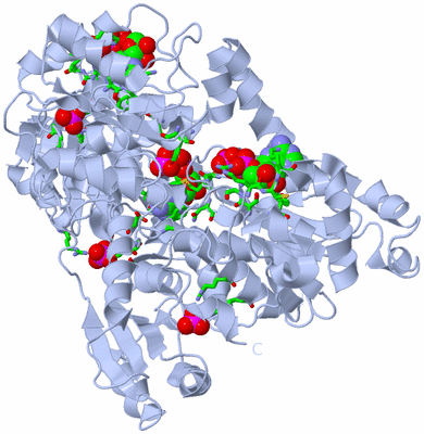 Image Biol. Unit 1 - sites