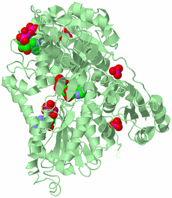 Image Biological Unit 2