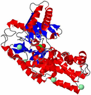 Image Asym./Biol. Unit