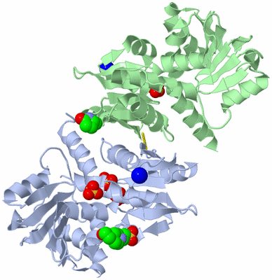 Image Asym./Biol. Unit