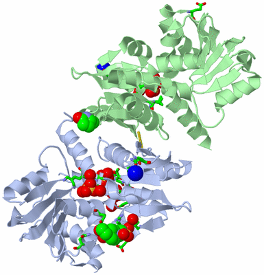 Image Asym./Biol. Unit - sites