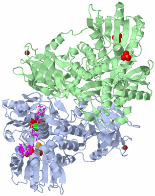 Image Asym./Biol. Unit