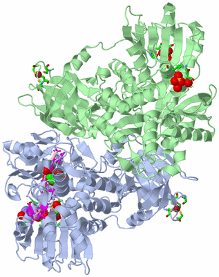 Image Asym./Biol. Unit - sites