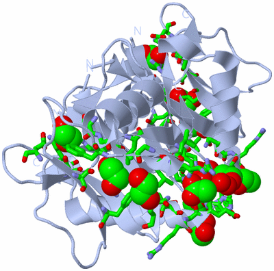 Image Biol. Unit 1 - sites