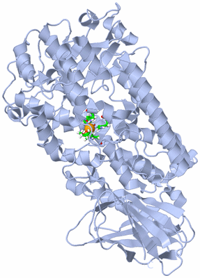 Image Biol. Unit 1 - sites