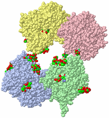 Image Biol. Unit 1 - sites