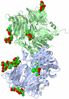 Image Biological Unit 2