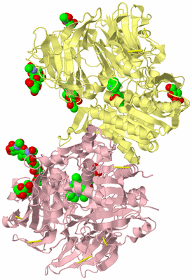 Image Biological Unit 3