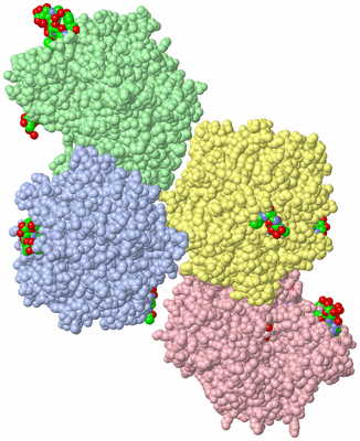 Image Asym. Unit - sites