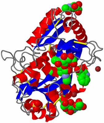 Image Asym./Biol. Unit