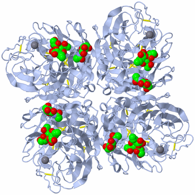 Image Biological Unit 1