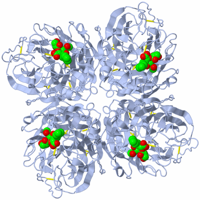 Image Biological Unit 1