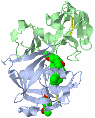 Image Biological Unit 1