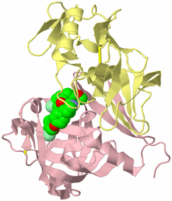 Image Biological Unit 2