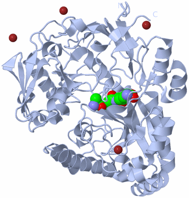 Image Biological Unit 1