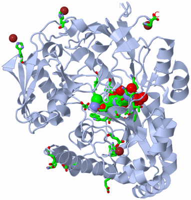 Image Biol. Unit 1 - sites