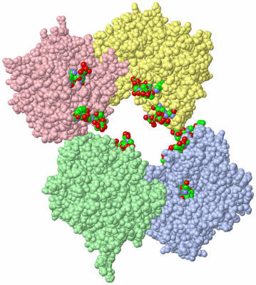 Image Biol. Unit 1 - sites