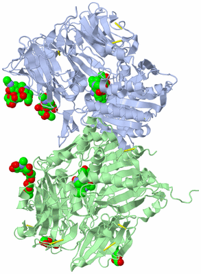 Image Biological Unit 2