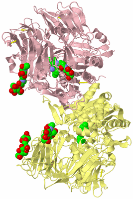 Image Biological Unit 3