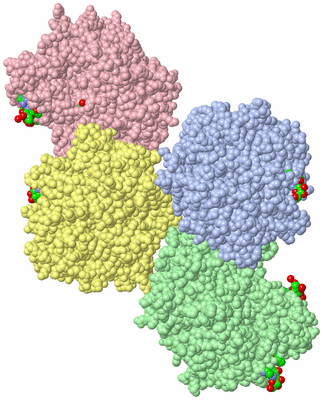 Image Asym. Unit - sites