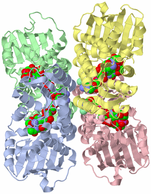 Image Asym./Biol. Unit