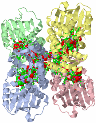 Image Asym./Biol. Unit - sites