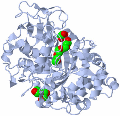 Image Biological Unit 1