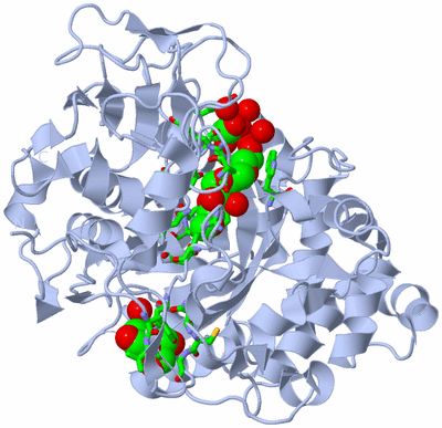 Image Biol. Unit 1 - sites