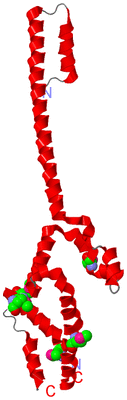 Image Asymmetric Unit