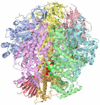 Image Biol. Unit 1 - sites