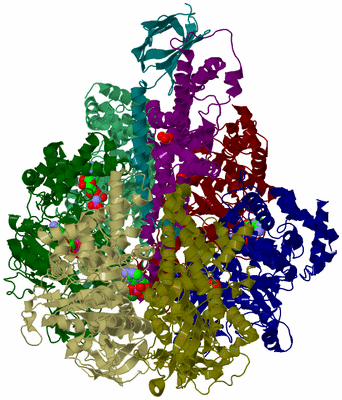 Image Biological Unit 3