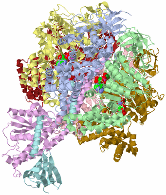 Image Biological Unit 4