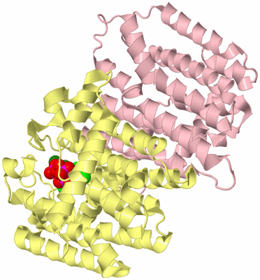 Image Biological Unit 3