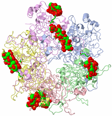 Image Asym./Biol. Unit - sites