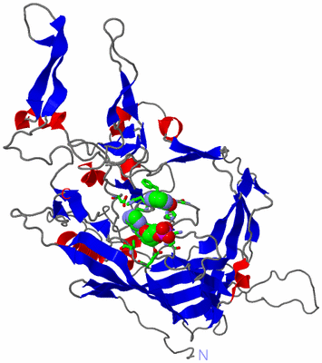 Image Asym. Unit - sites