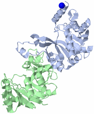 Image Biological Unit 1